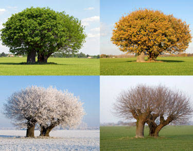 changes of Seasons